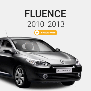 fluence-2010